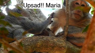 Maria Feels Sad With Jill Coz She Tried To Help From Sankra But She Didnt Help Her Back.