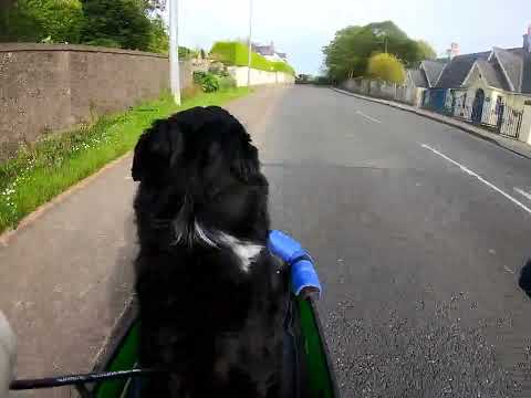 Going up Howth