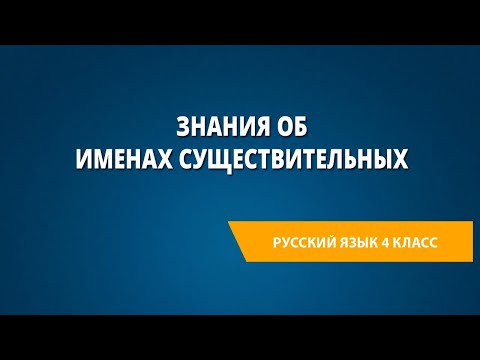 Знания об именах существительных