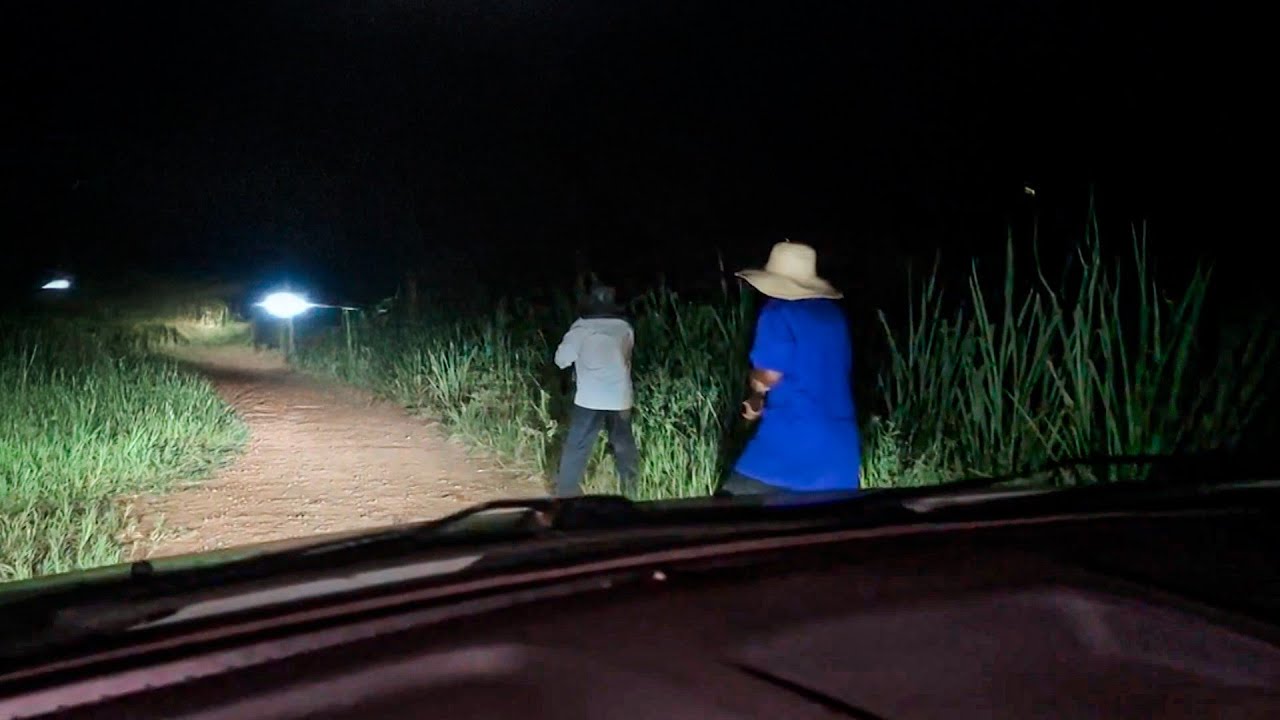 Эти люди в отчаянии стреляли посреди дороги.