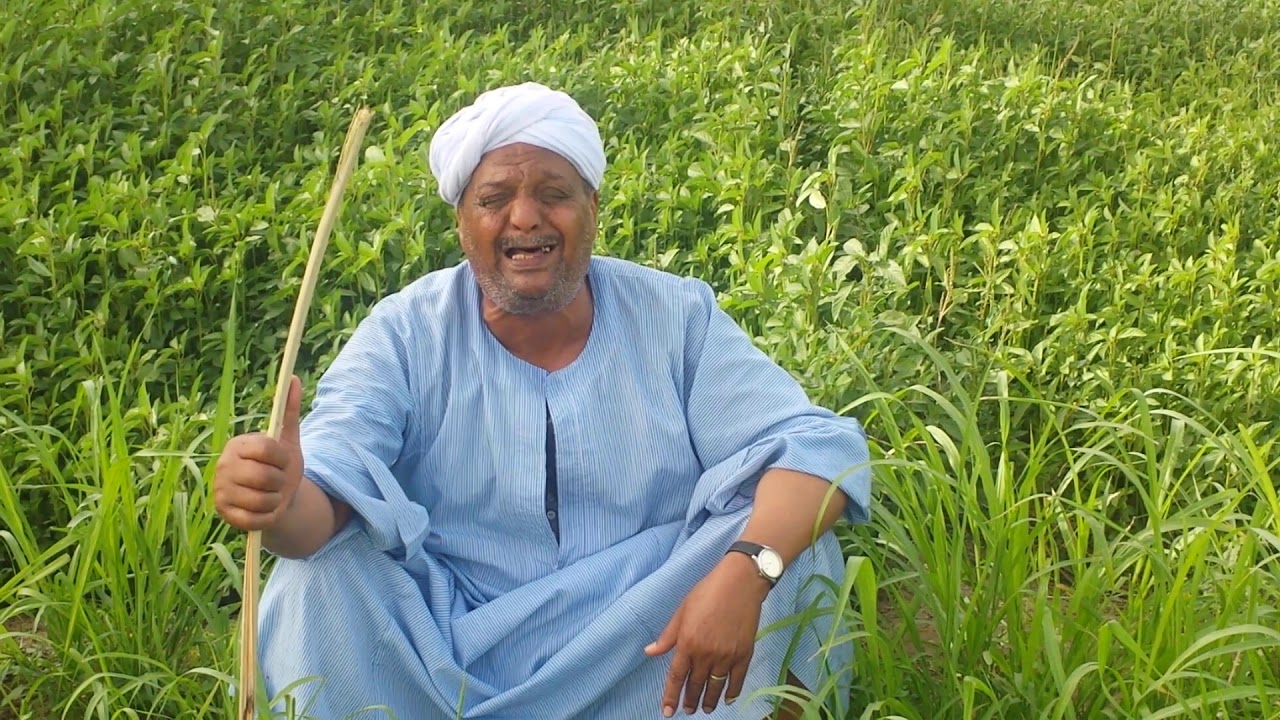 موال الخشونه