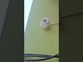 CP setup 3 IP camera compalit final #giridih