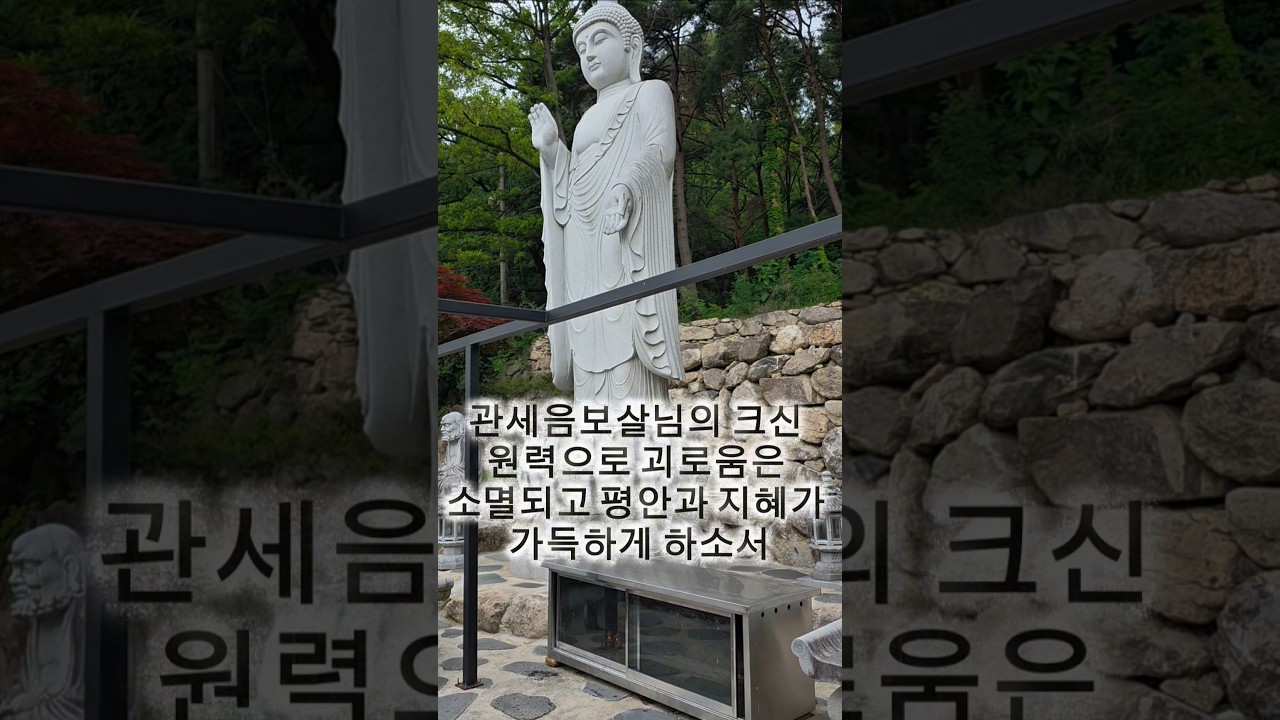 관세음보살님의 자비광명이 저와 가족을 비추어 모든 고난과 장애가 사라지게 하소서!