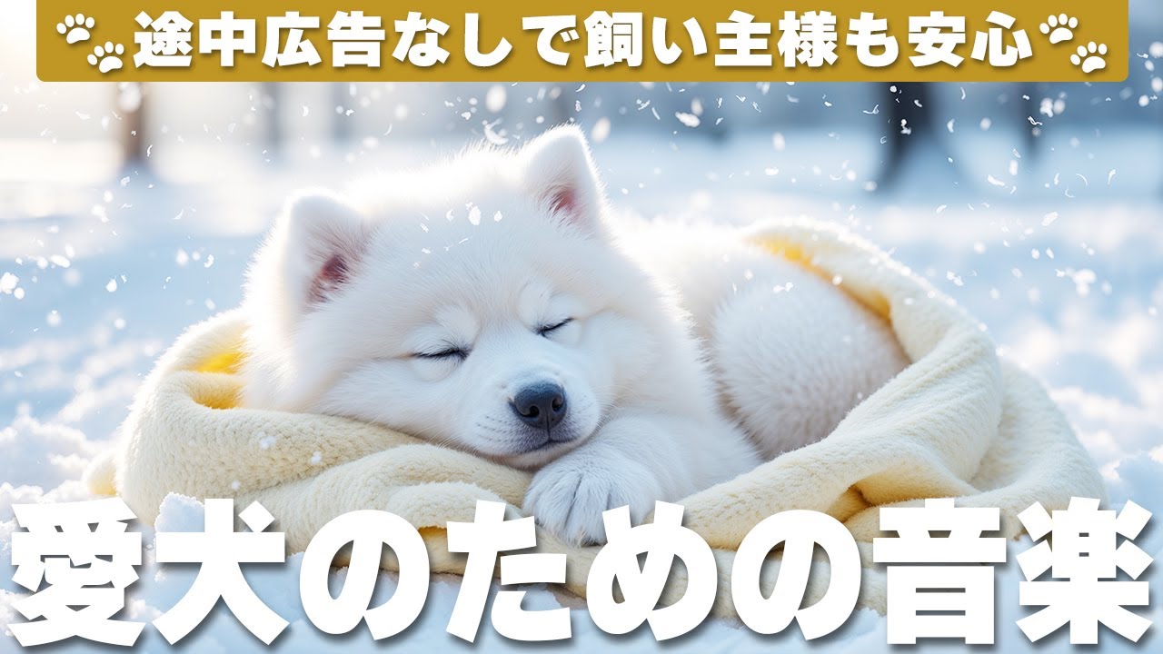 犬が落ち着く音楽 (12時間広告なし) 🐶 愛犬の癒しの音楽 | 夜泣き防止 / vol.755