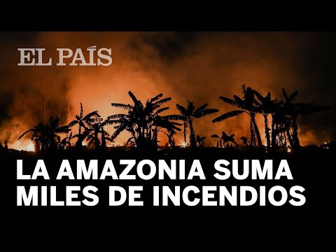 La Amazonia REGISTRÓ el mayor número de INCENDIOS de los últimos 13 años