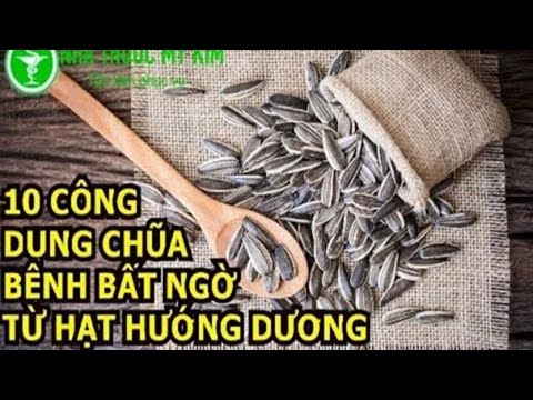 Video: Hạt Hướng Dương Có Tốt Cho Bạn Không?