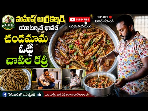 😋 నోట్లో వేసుకుంటే కరిగిపోయే చందమామ ఒట్టి చాపల కర్రీ | Mahesh Agriculture 🐟🔥🌾