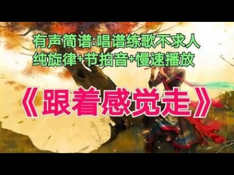 《跟着感觉走》动态简谱，跟着光标提示学歌快速掌握音准和节奏