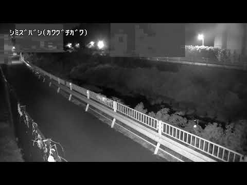 Kawaguchi River Shimizu Bridge live cam preview