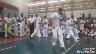 Parabèns Mestre Cobra Vc E Um Ezemplos De Vida Viva A Capoeira..axe Csbueira Do Brejo