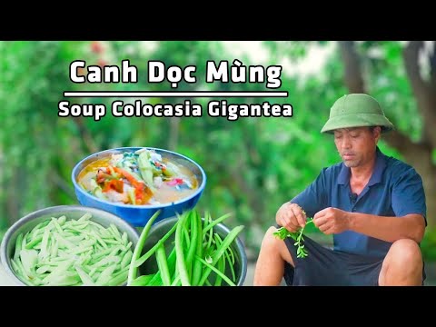 Canh Dọc Mùng Của Bố ( Soup Colocasia Gigantea) I Ẩm Thực Đồng Quê