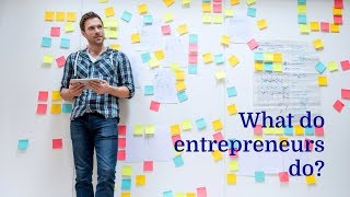 What do entrepreneurs do?