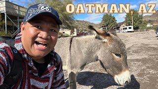 Donkey Town of Oatman, Arizona | Route 66