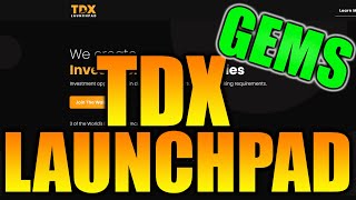 Tdx Launchpad A Promising Partnership Between Ibc Group And Tradedog