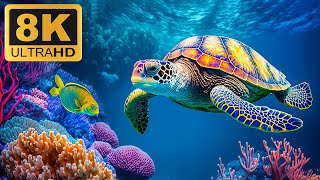 8K AQUARIUM - 8K (60FPS) ULTRA HD - FEMALE SEA ANIMAL - With Calming Music (Nature Sounds)