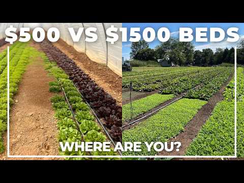 Gross Revenue Vs Total Income