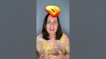 Debunking Jurassic Park! Pt.1 #paleontology #learn #dinosaur #jurassicpark