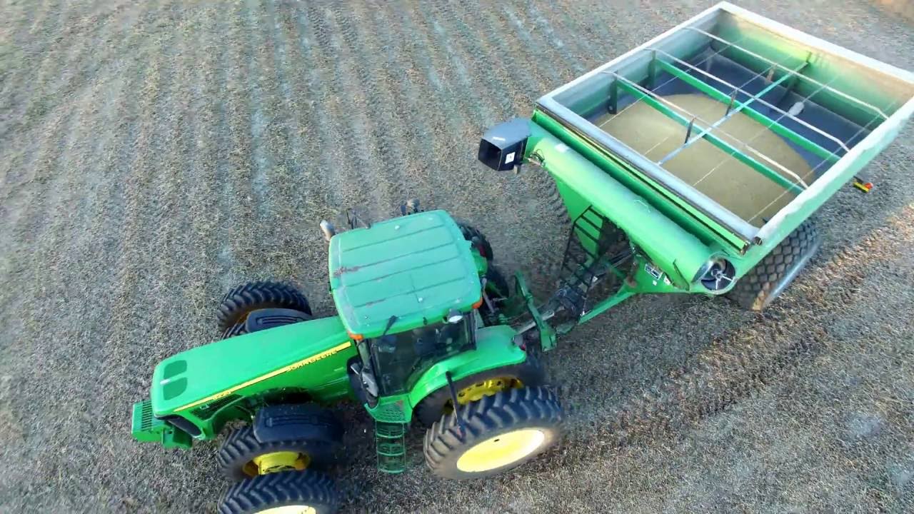 Soybean harvest 2016