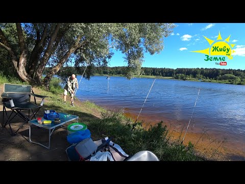 Видео: КРОКОДИЛЯРИЙ. РЫБАЛКА НА ДОНКИ. ЖАРКИМ ЛЕТОМ.