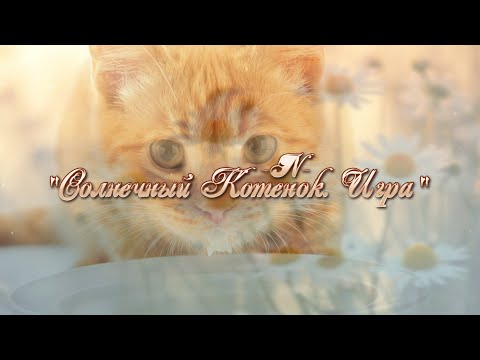 'Солнечный Котенок. Игра'