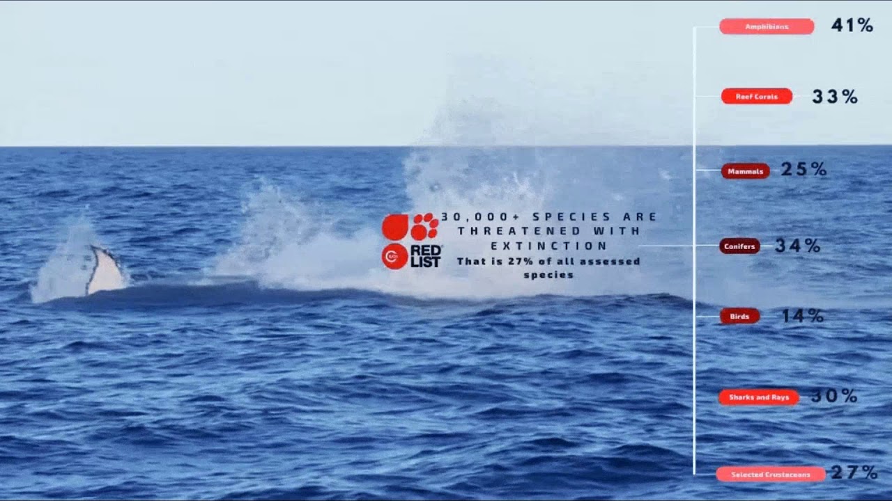 Tesi: biotechnology dissertation project