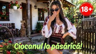 Magarul - Ciocanul la pasarica (Bazata pe fapte reale😂)