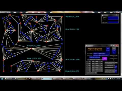 genome scaffold meaning