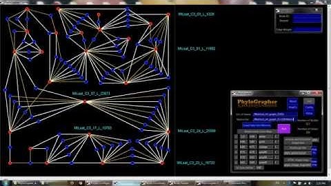 Genome Assembly Scaffold Bridging Visualization