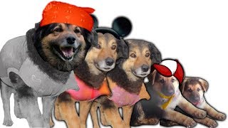 Version 1 of the video