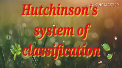 Hutchinson