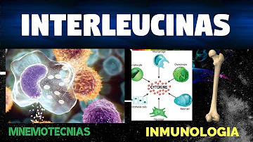 ¿Cómo se produce la interleucina-1?