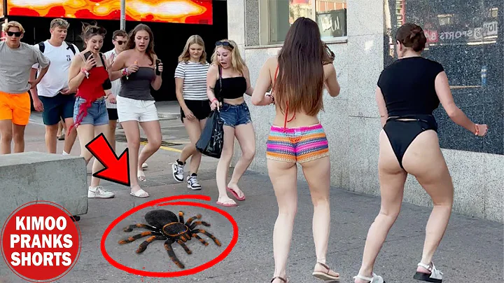 Ultimate Best of SPIDER PRANK Compilation!! Funniest Reactions!!