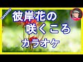 彼岸花の咲く頃 中澤卓也  カラオケ   With Romaji KARAOKE