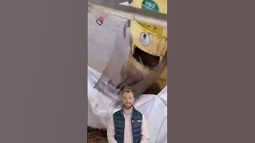 The Magic of Pellet Making Machines  #fcnfm