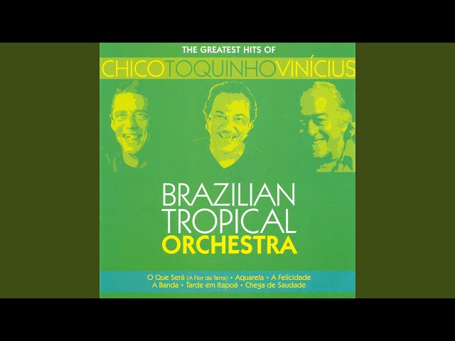 Brazilian Tropical Orchestra - Samba De Orly