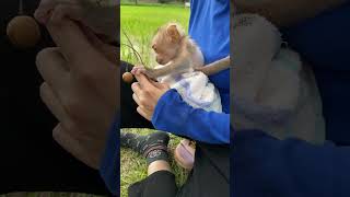 Monkey touch Women ? animallover babymonkey cute cutemonkey monkey women