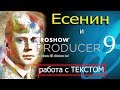 Работа с текстом в Pro Show Producer 9