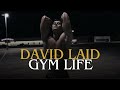 David laid gym life   ari abdul  hush slowed