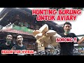 Hunting a lot of birds for aviary  heboh viral ajat baduy edie jovanis brung scout market