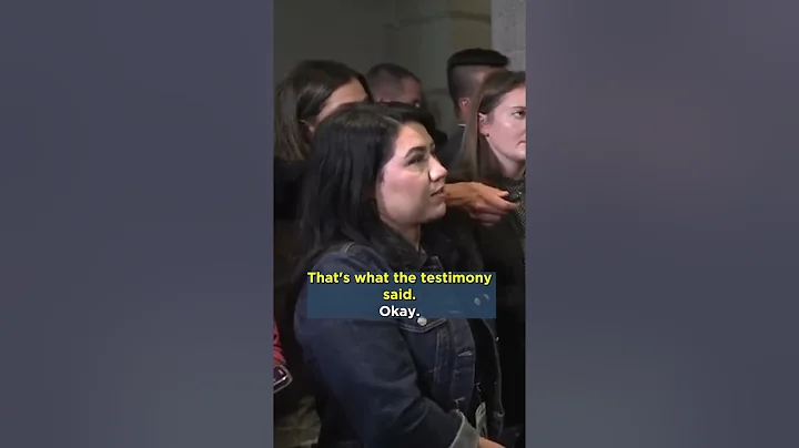 Reporter Concedes There is Tons of Evidence Supporting Impeachment Inquiry