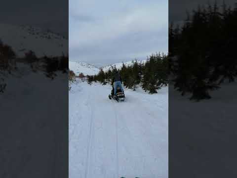 Kar motoru turu,
