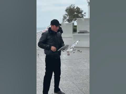 Баку Дениз Молл#Баку#Азербайджан#Питер#Россия#Ереван#Армения#Казахстан ...