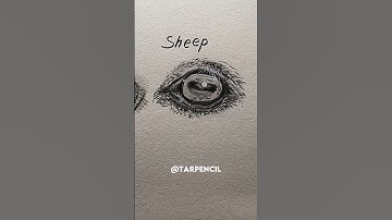 How to draw eyes (horse, calf, sheep) ✏️ #drawing #art #tutorial #howtodraw #shorts #eyes