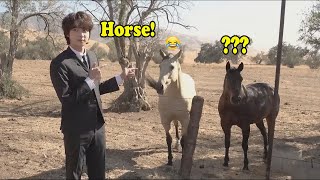 BTS (방탄소년단) with animals