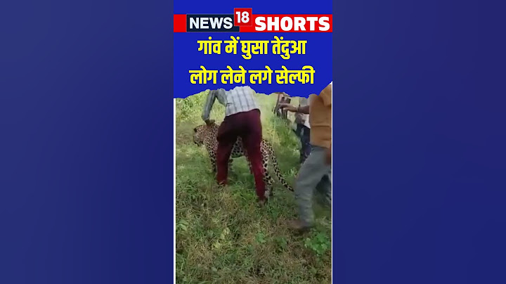 #Shorts : गांव में घुसा तेंदुआ, लोग लेने लगे सेल्फी | Leopard in Village | News18 Shorts | N18S