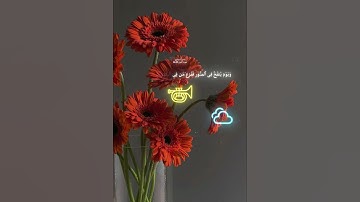 قرآن كريم بصوت جميل القاري ياسر الدوسري 🤍✨️ #quran #اكسبلور #المصحف #تلاوة #قرآن #لايك