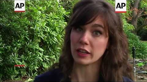 Crows Use Their Big Brains to Learn About Death