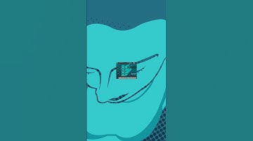 Around The Fur Inspired Drum Samples - Now available as a Kontakt Instrument!