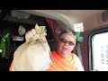 #392  I spent $30 on Cheeseburgers The Life of an Owner Operator Flatbed Truck Driver Vlog