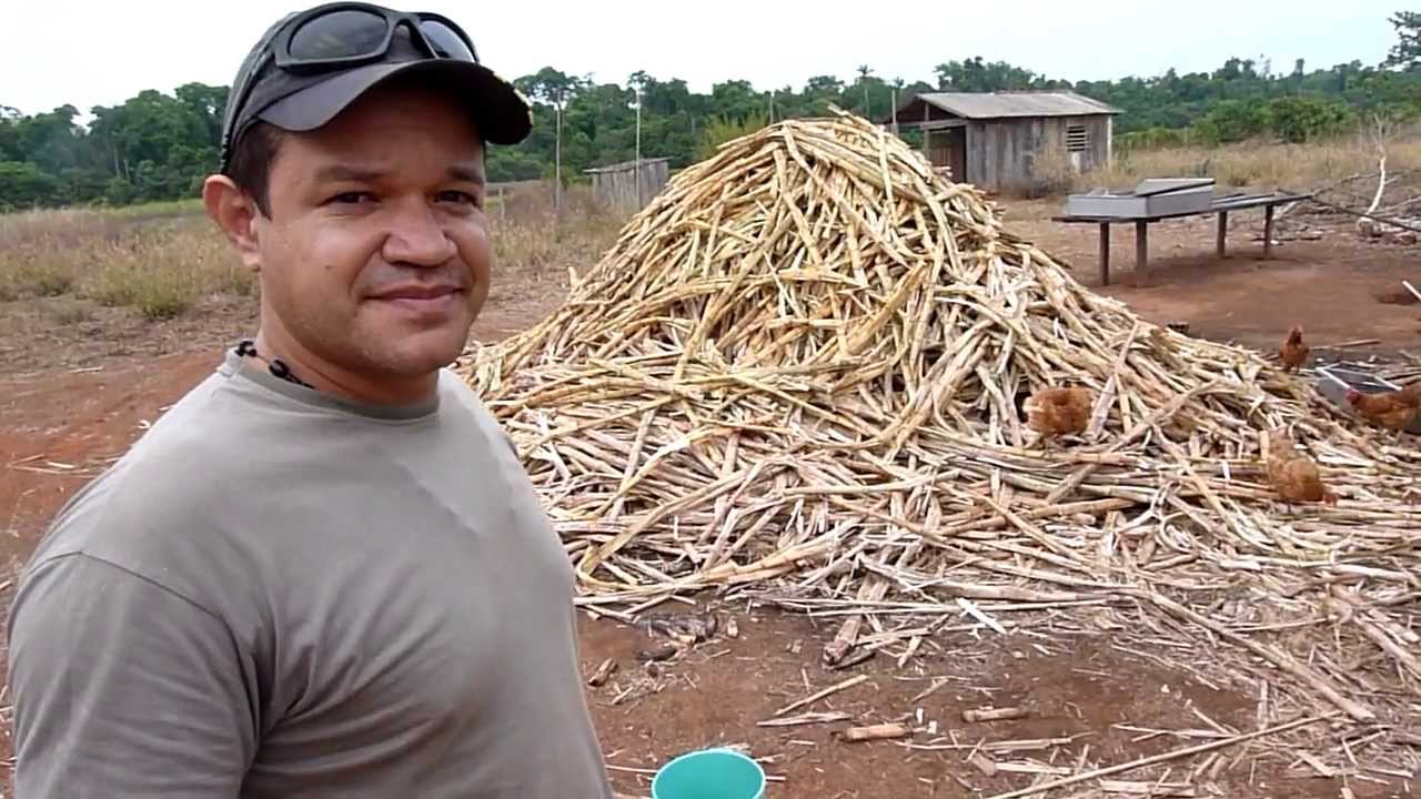 mato grosso brasil turismo Gaucho Car in Mato Grosso